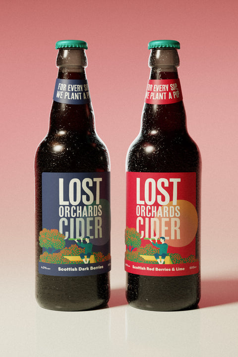Mixed Berries Cider Case (500ml)
