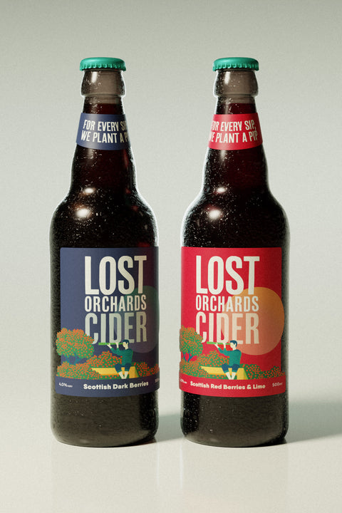 Mixed Berries Cider Case (500ml)