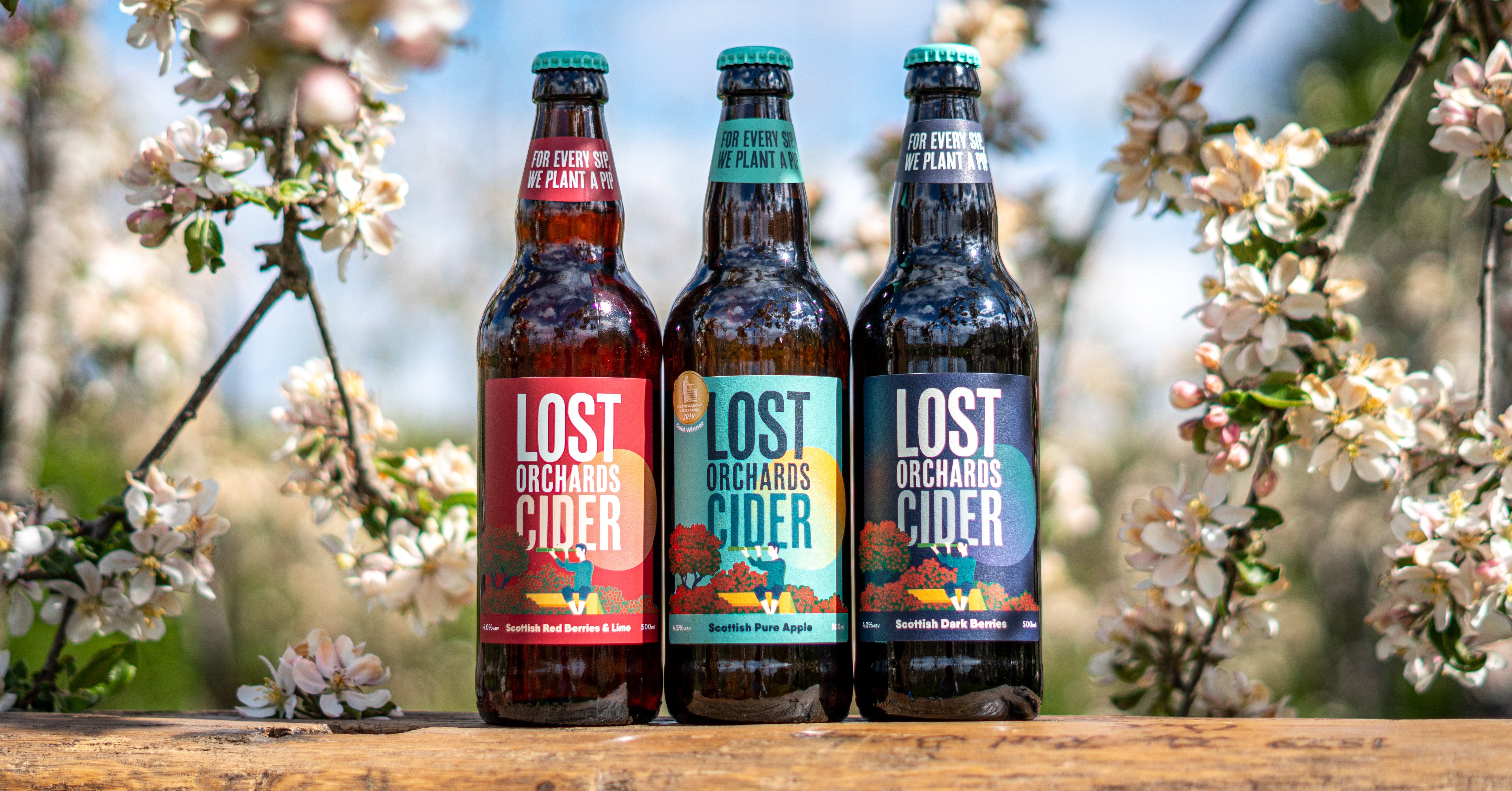 Lost Orchards