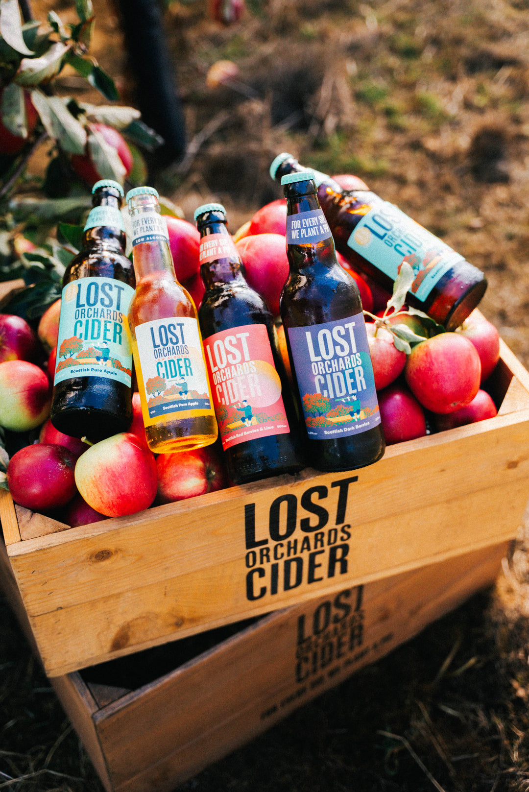 Lost Orchards Cider - About Us